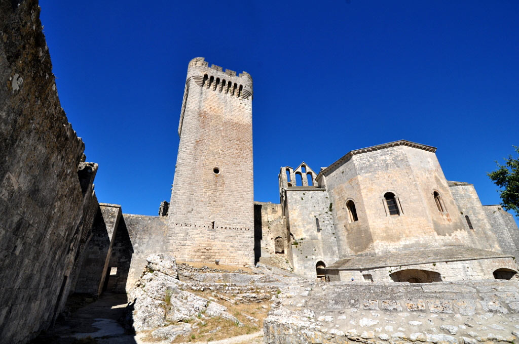 Abbaye de Montmajour